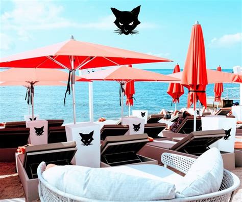 nine lives malta reviews|NINE LIVES, Bugibba .